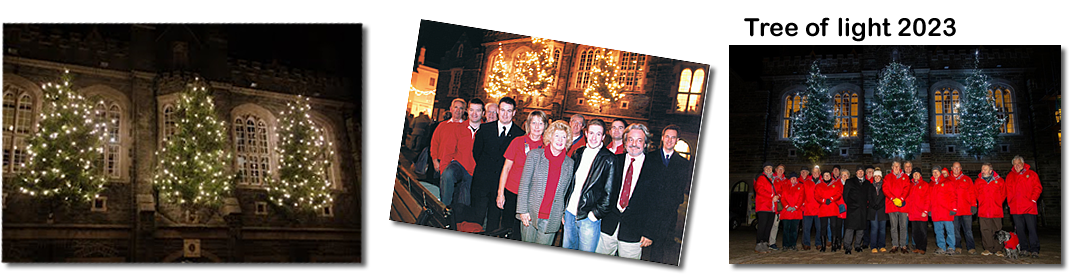 Tree Of Light - Tavistock